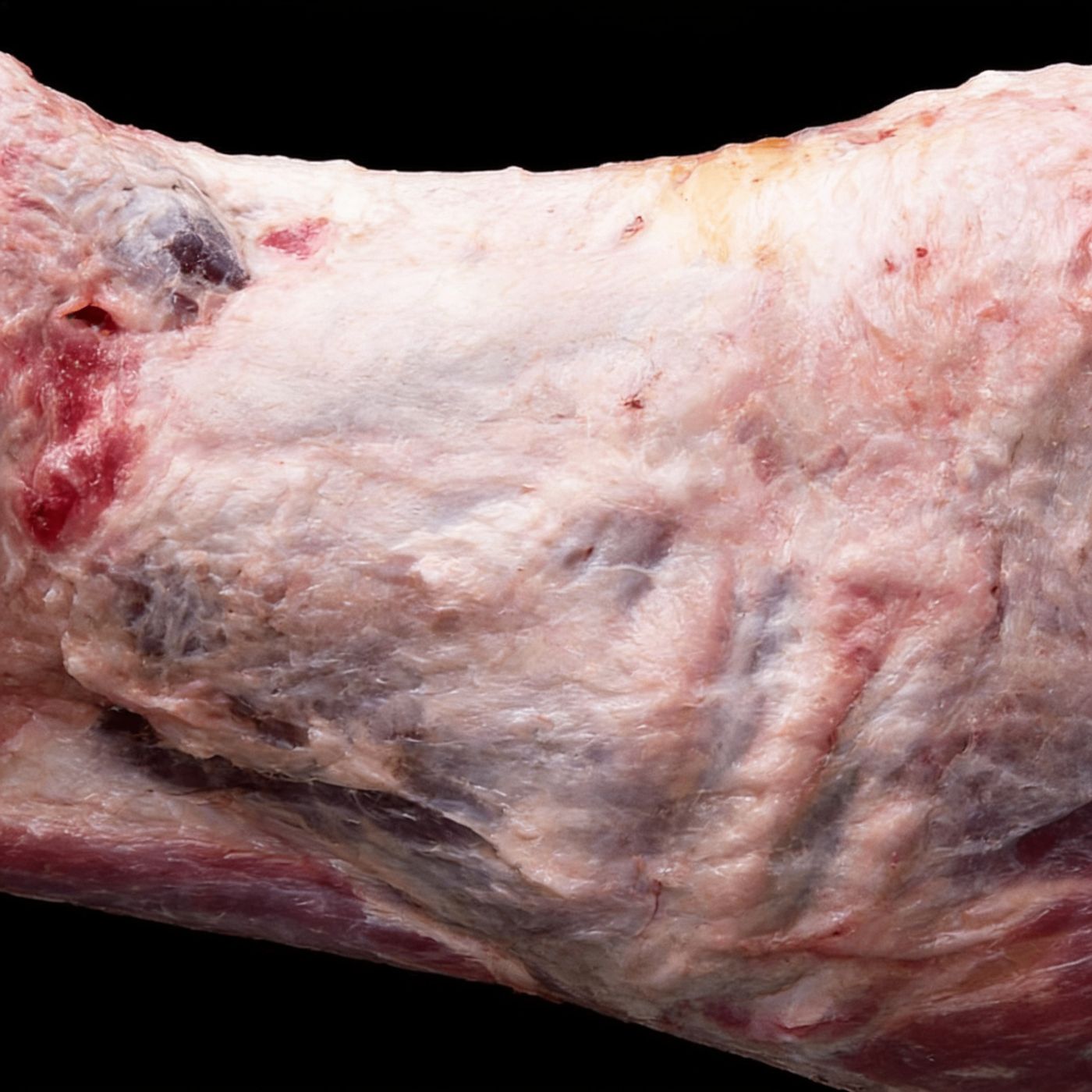 Close-up of halal beef marbling from UK supplier