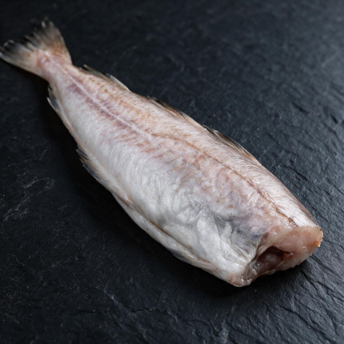 Hake halal frozen UK supplier